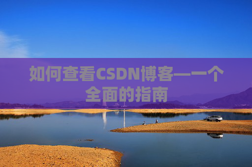 如何查看CSDN博客—一个全面的指南 如何查看CSDN博客—一个全面的指南